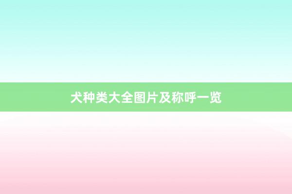 犬种类大全图片及称呼一览