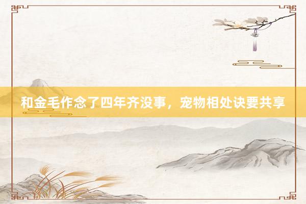 和金毛作念了四年齐没事，宠物相处诀要共享
