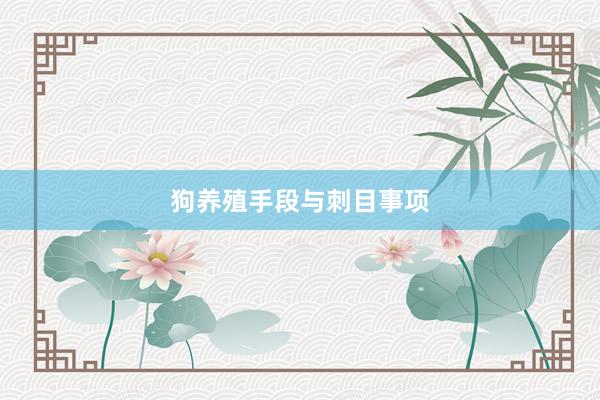 狗养殖手段与刺目事项